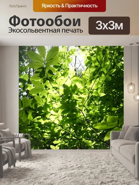 Фотообои Листы