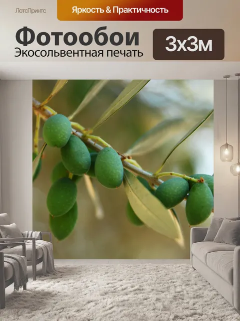 Фотообои зеленые оливки