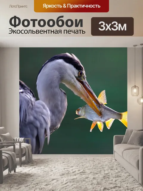Фотообои Цапля