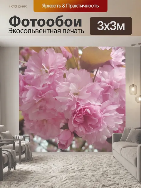 Фотообои Сакура