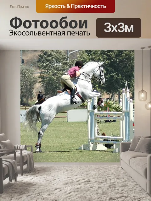 Фотообои Лошадь
