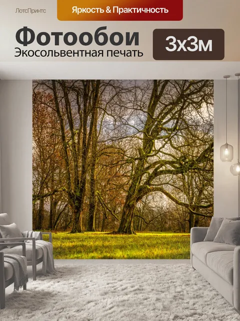 Фотообои Дерево