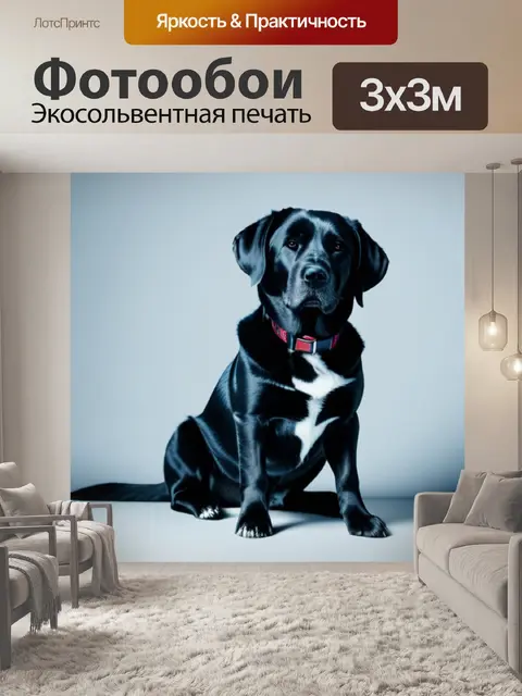 Фотообои с собаками минимал