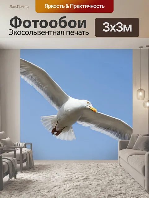 Фотообои Птица