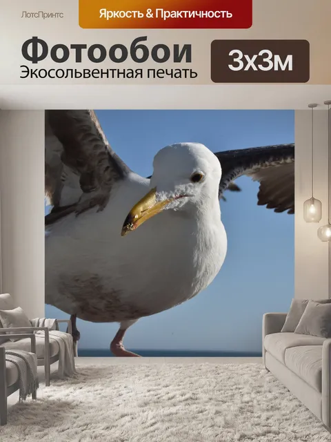 Фотообои посадка чайки