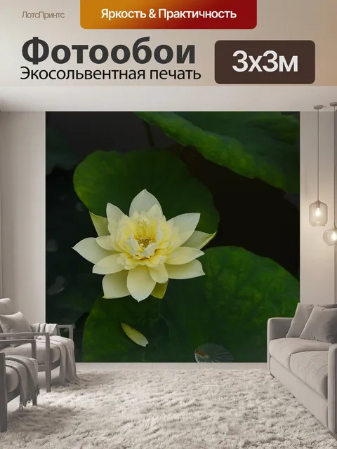 Фотообои Золотой лотос