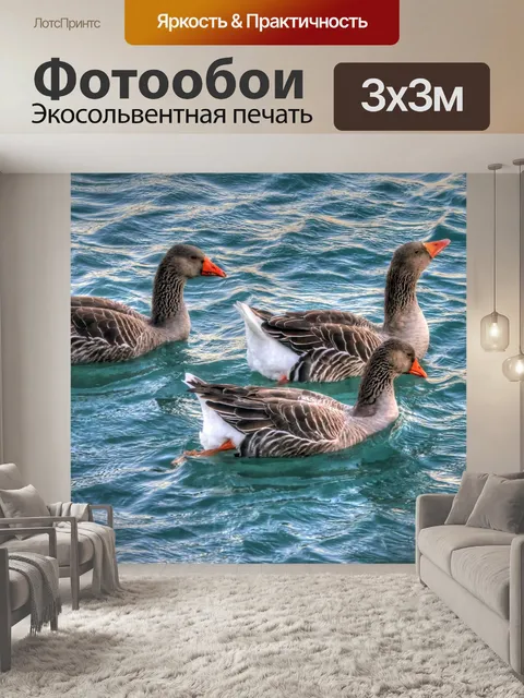 Фотообои Гуси бассейн