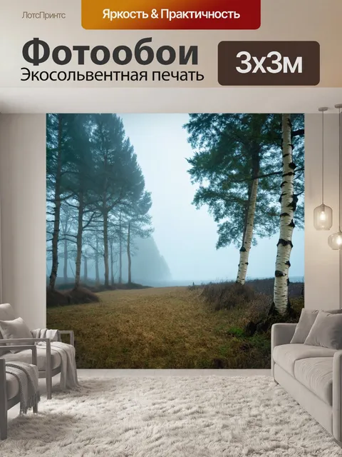 Фотообои туман в стиле барокко