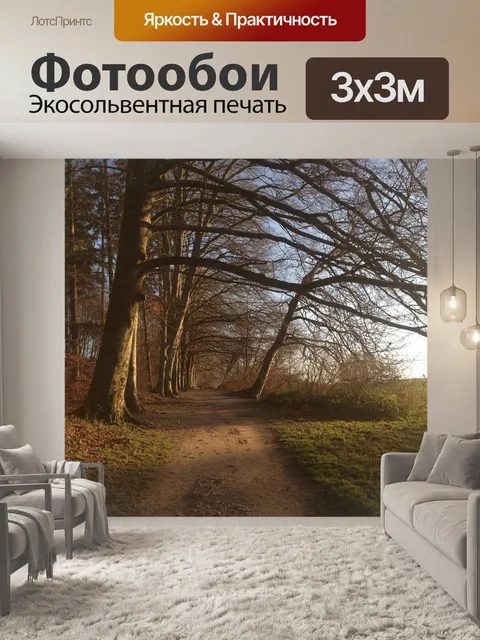 Фотообои Лес