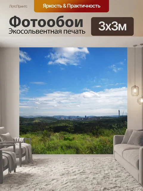 Фотообои вид на город Претория с поля