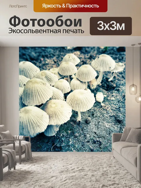 Фотообои Гриб