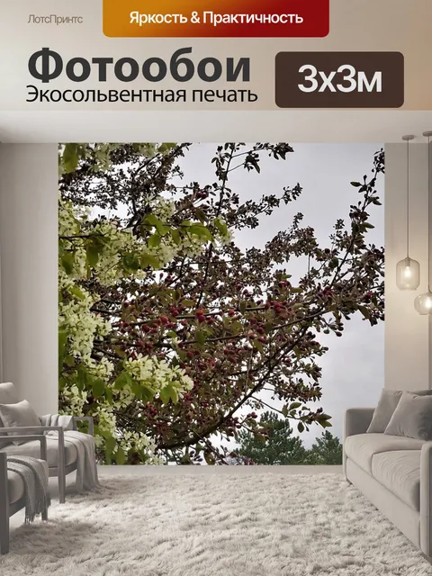 Фотообои Цветы