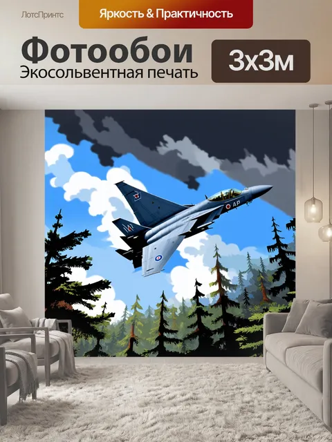 Фотообои самолет-истребитель эпохи холодной войны
