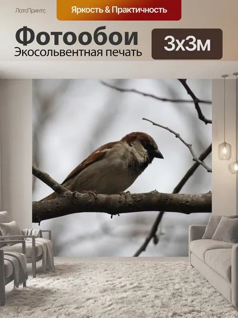 Фотообои Воробей в дереве
