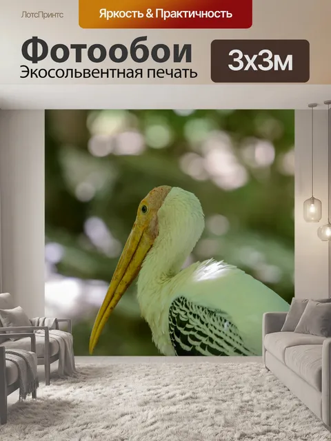 Фотообои Желтоклювый аист