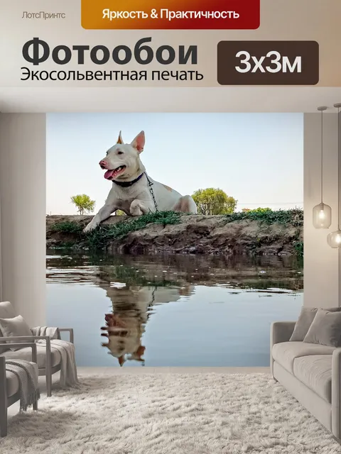 Фотообои Собака