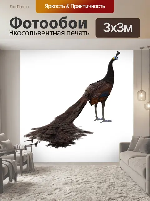 Фотообои Браун
