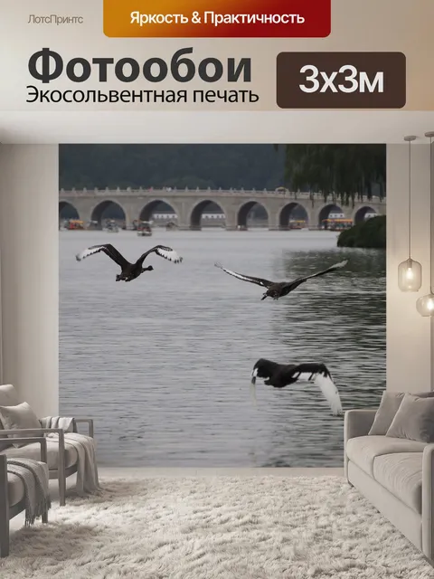 Фотообои Лебеди