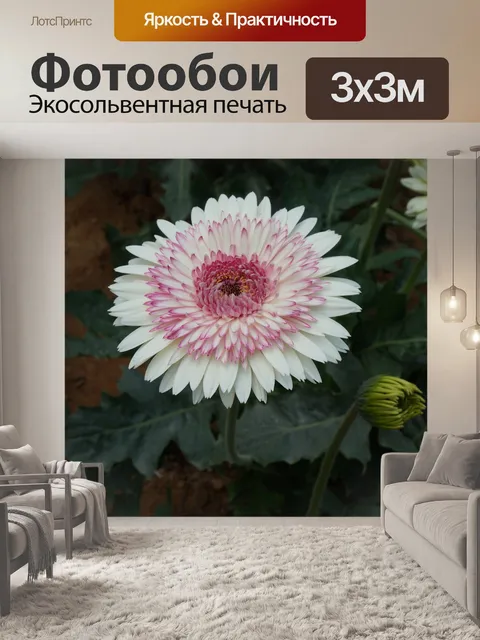Фотообои Цветы