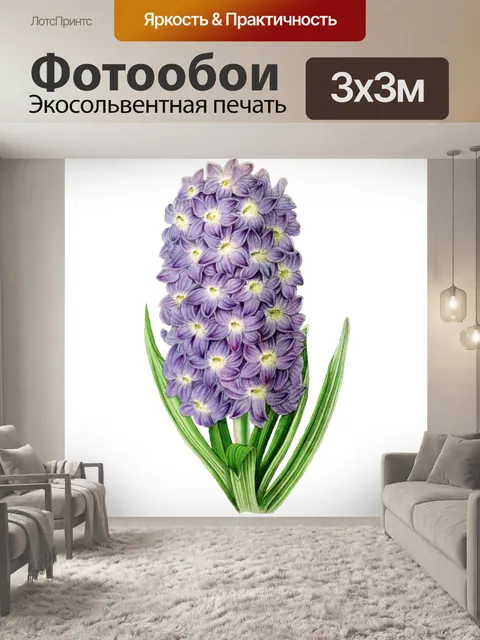 Фотообои Гиацинт цвести цветок винтаж