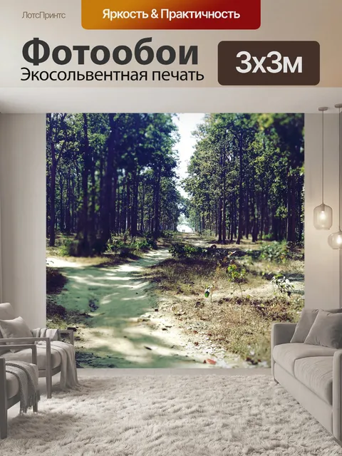 Фотообои Лес