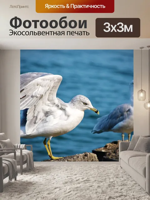 Фотообои Чайки