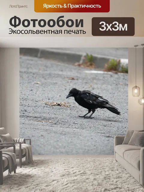 Фотообои Ворон на дороге