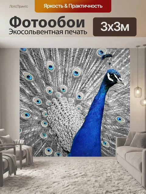 Фотообои Павлин