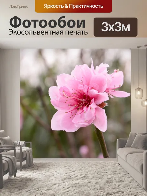 Фотообои Персик