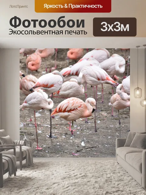 Фотообои Фламинго