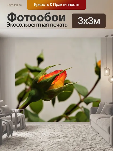 Фотообои Розовый