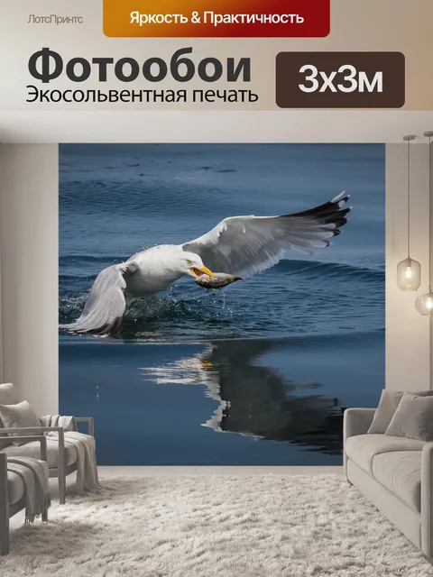 Фотообои Чайка