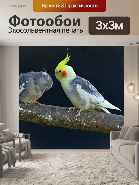 Фотообои Дикая природа