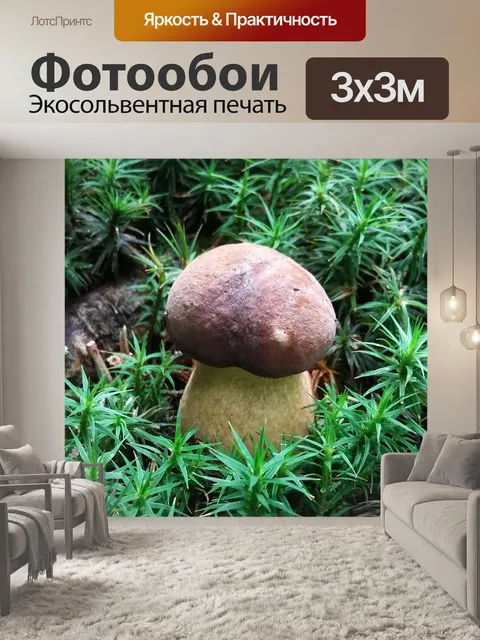 Фотообои Хаба