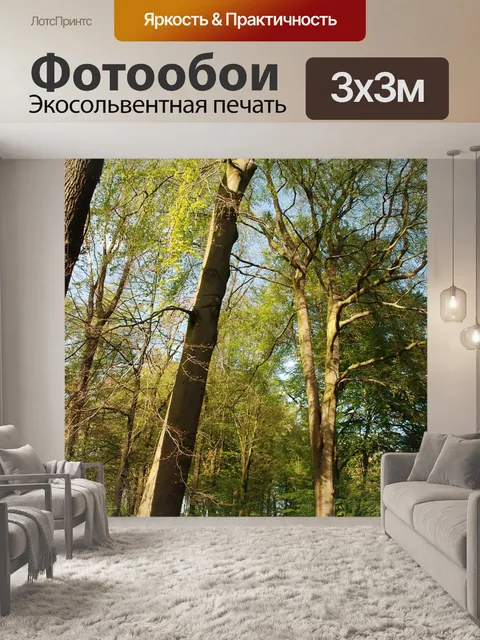 Фотообои Лес