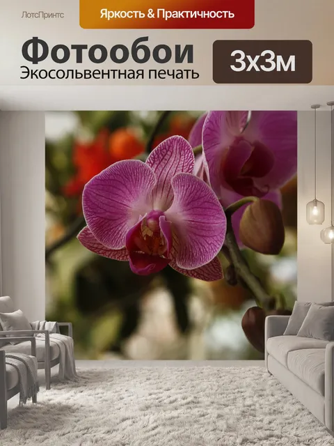 Фотообои Орхидея