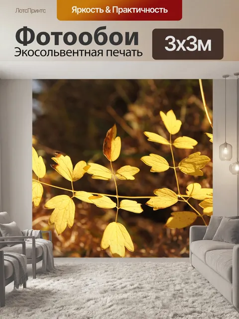 Фотообои Природа
