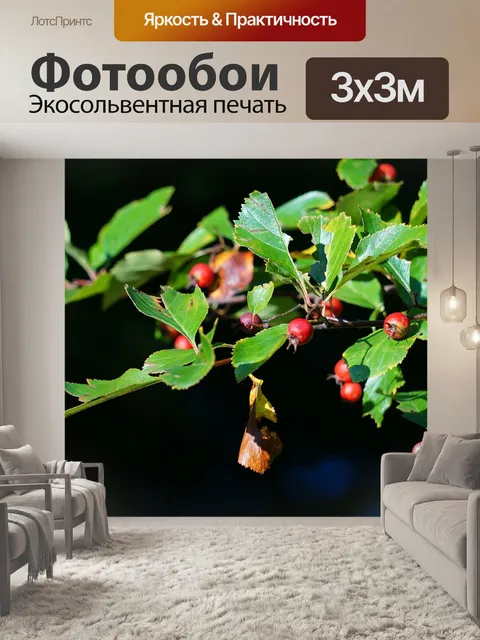 Фотообои Украшение