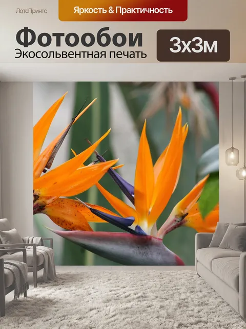 Фотообои Цветы