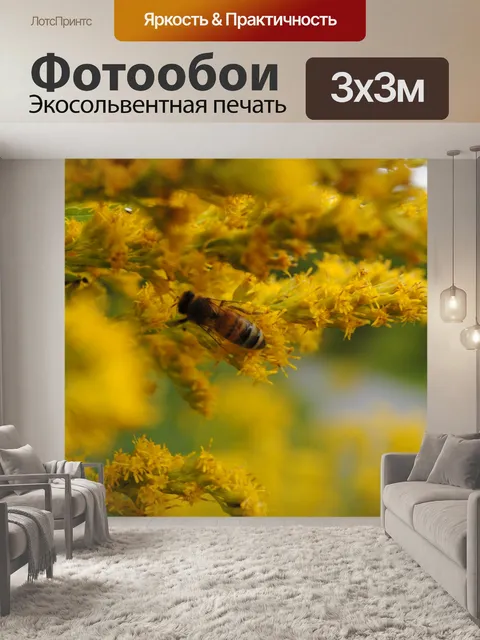 Фотообои Оса на работе