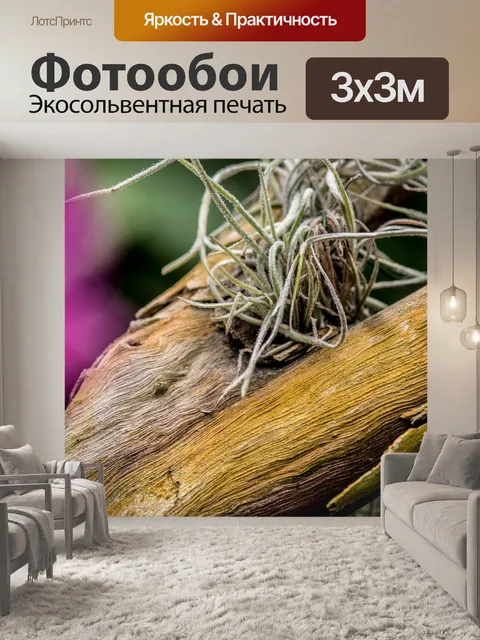 Фотообои Ствол