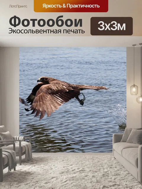 Фотообои Птица