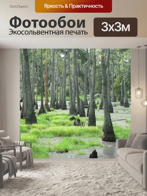 Фотообои Болото