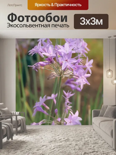 Фотообои Цветы