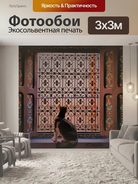 Фотообои Кошки коты