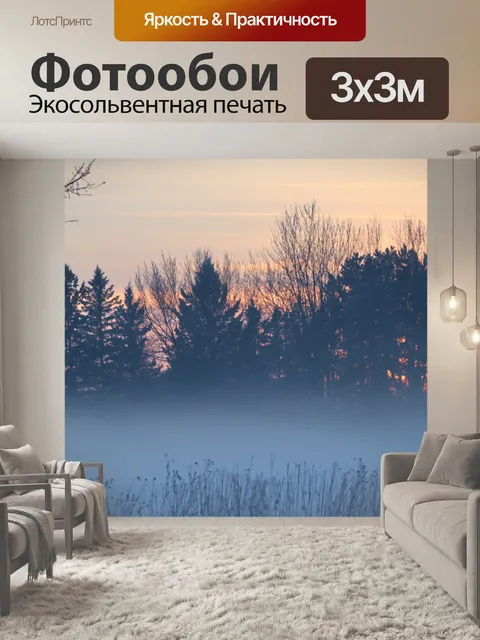 Фотообои Зимний туман