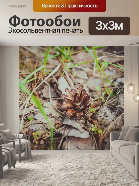 Фотообои Шишка