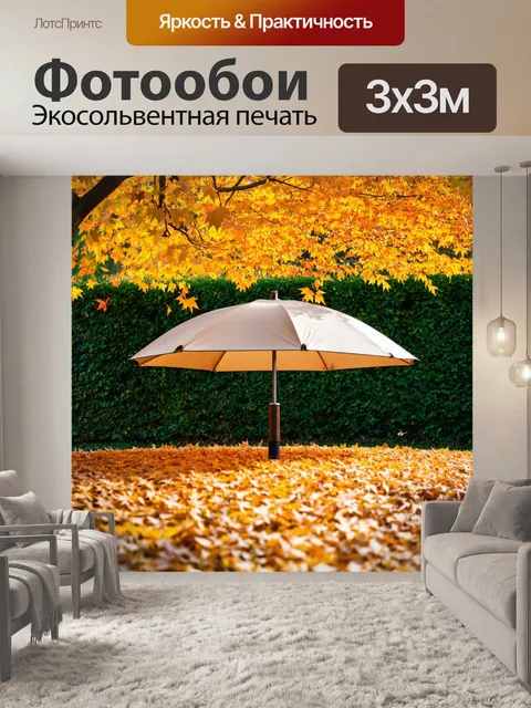 Фотообои зонт, окруженный осенними листьями в городском саду