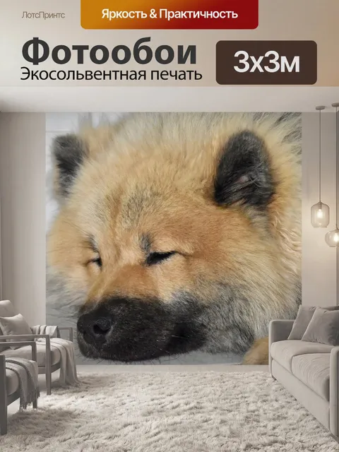 Фотообои Собака