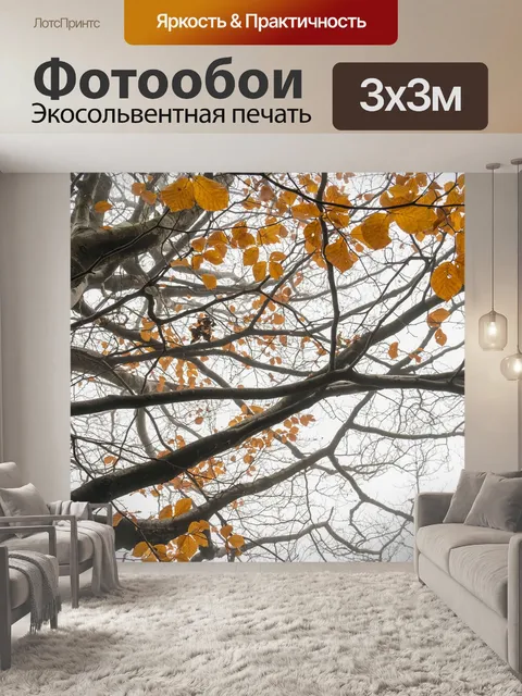 Фотообои Лес